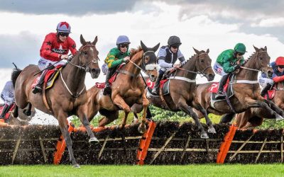 Horse Racing Betting Tips for Beginners