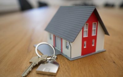 What are the differences between a conveyancer and a solicitor, and which one should you choose?