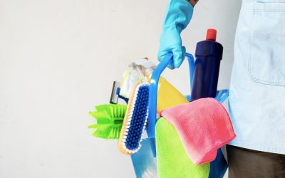 Household Cleaning Catalogue: Essential Tools you Need to Keep Your Home Shining
