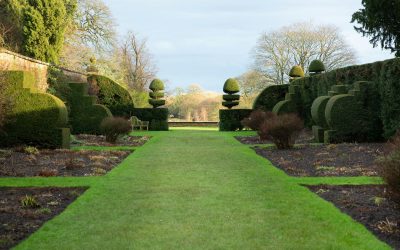 10 Reasons UK Landscapers are Switching to Porcelain Paving