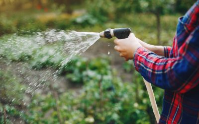 Home Water Pressure: A Complete Guide for Homeowners