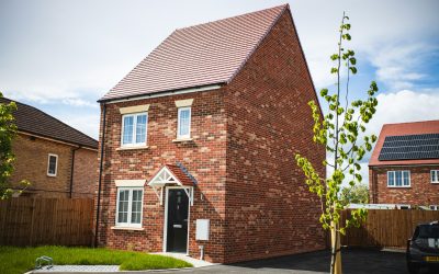 Flat Pack Houses | Sleeping Better After Moving Into Your New Build Sleeping Better After Moving Into Your New Build