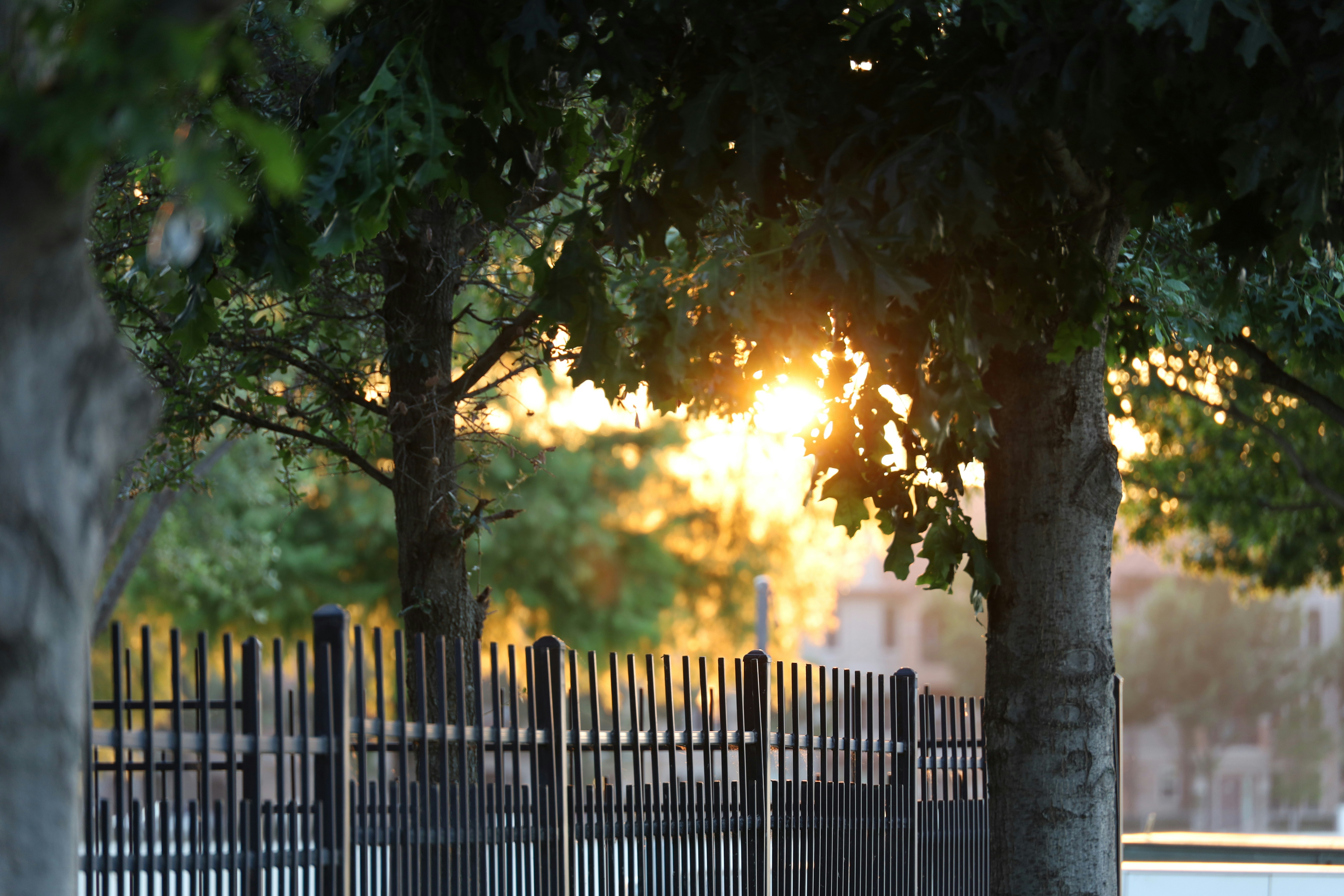 Flat Pack Houses | Railings and Fence Rail Systems: Modern Perimeter Solutions Railings and Fence Rail Systems: Modern Perimeter Solutions