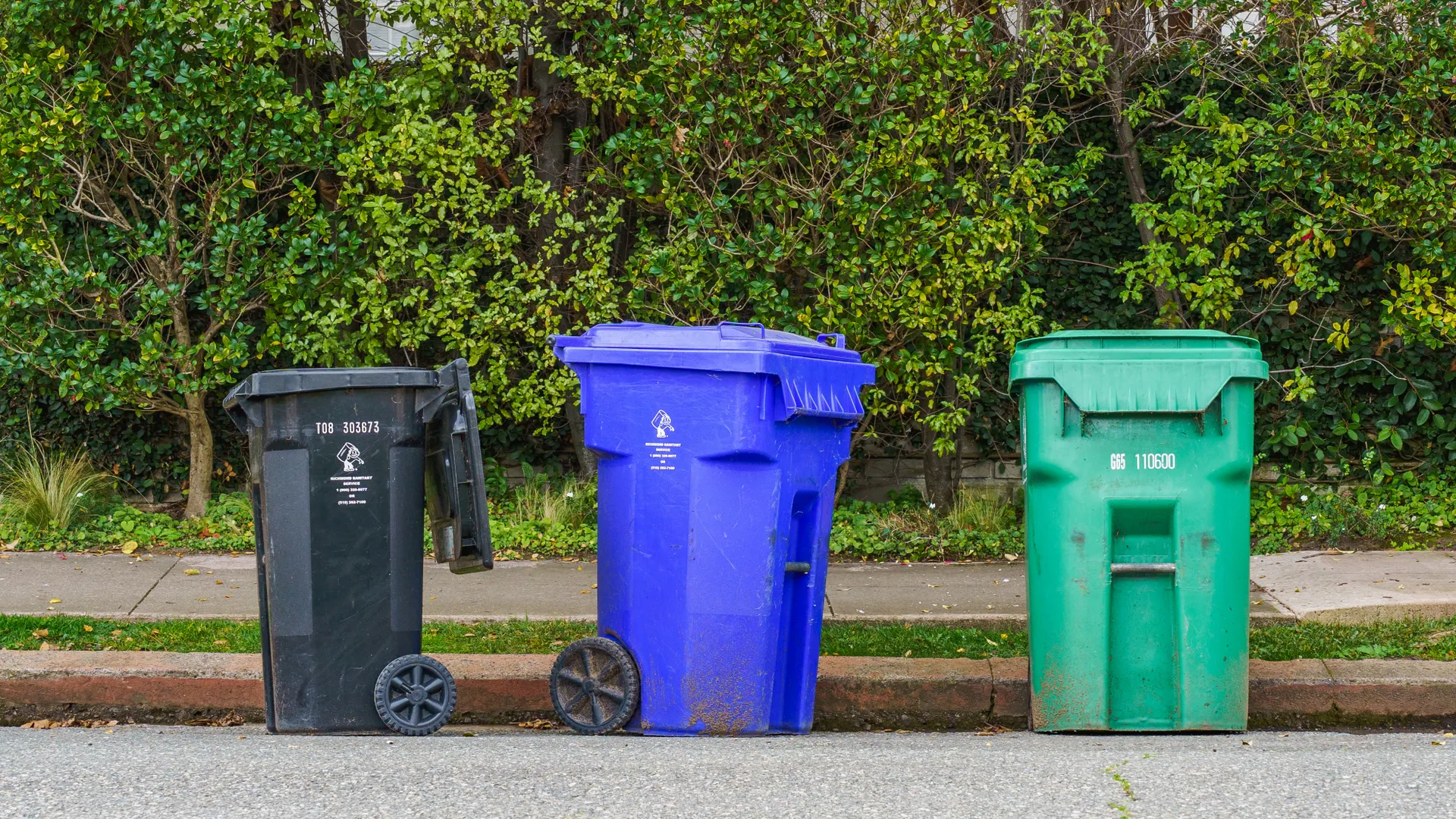 Basildon’s waste services face their biggest change in decades