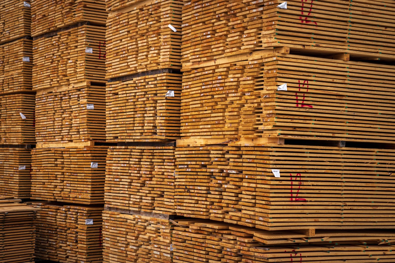 Materials from Natural Waste: How Three Innovative Materials Are Redefining Sustainable Design